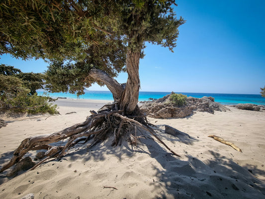 Where Sustainability Meets Mediterranean Heritage